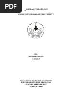Download LaporanPendahuluanCrushInjurybyIiandVengeancesaiSN270877927 doc pdf