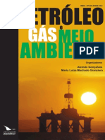 Petroleo Gas e Meio Ambiente