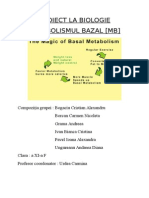 Metabolismul Bazal