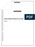 Alcatel-Lucent Scalable IP Networks Lab Guide v1-1