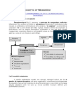 CONCEPTUL de Reinginerare