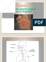 How The Speech Organs Work in English?