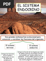 Sistema Endocrino