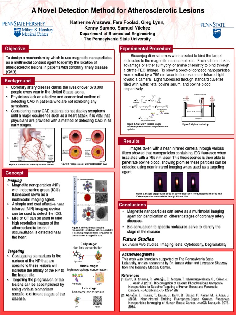 Atherosclerotic Lesion Detection Method | PDF | Atherosclerosis ...