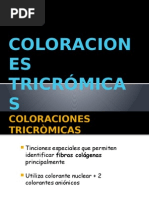 COLORACIONES TRICRÓMICAS Diapo Lista