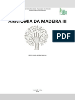 Secagem da Madeira