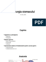 Curs Stomac