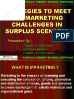 Strategies To Meet The Marketing Challenges in Surplus Scenario