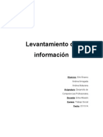 Levantamiento de Informacion Alvarez Arriagada Maturana