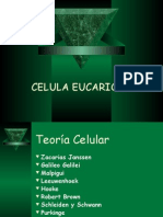 CELULAEUCARIOTA