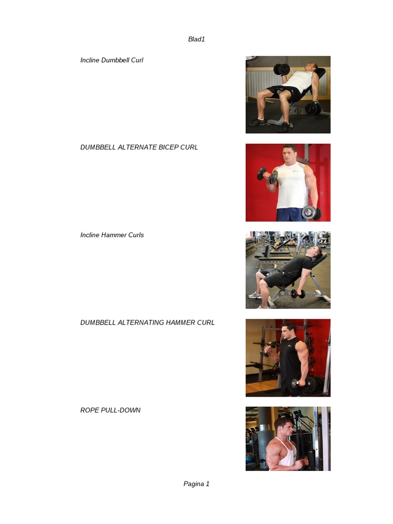 Dumbbell & Barbell Workout Guide | PDF | Foreign Language Studies | Art