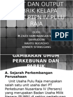 Input Dan Output Pabrik Kelapa Sawit PTPN IV
