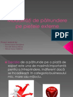 Modalităţi de Pătrundere Pe Pieţele Externe