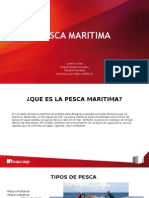 Pesca Maritima