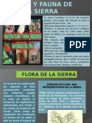 Flora Y Fauna De La Sierra Peruana Agricultura Plantas