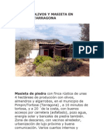 Finca de Olivos y Masieta en Tortosa/Tarragona