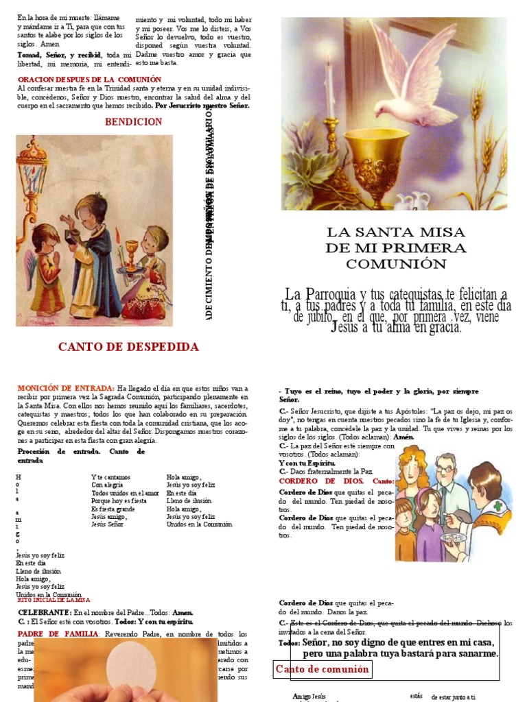 libro de primera comunion eucaristía Misa (liturgia) Prueba