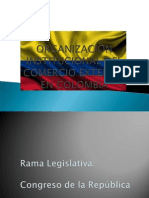 Organización Institucional Ce