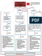 Poderes Del Estado