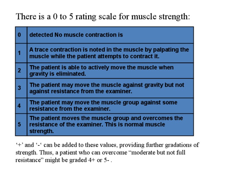 Muscle Strength Grading 0-5 Scale | PDF | Wellness