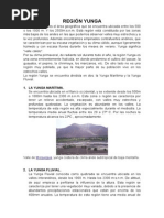 REGIÓN YUNGA