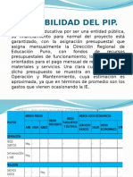 Sostenibilidad Del Pip