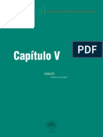 CAPITULO 23-GESTION DE CALIDAD.pdf