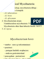 Atypical Mycobacteria: DG Dasar Epidemiologi, Mycobacteria Dibagi: 1. M. Tuberculosis Komplek - M. Tuberculosis