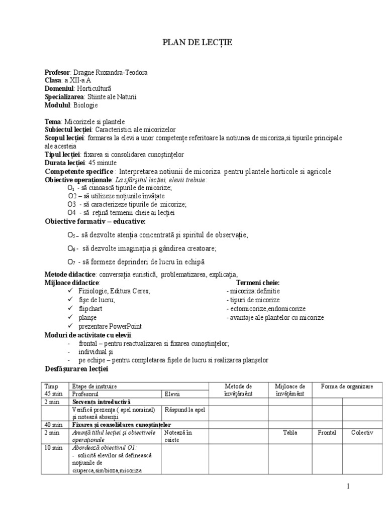 Plan de Lectie | PDF