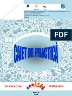 Caiet_practica.pdf