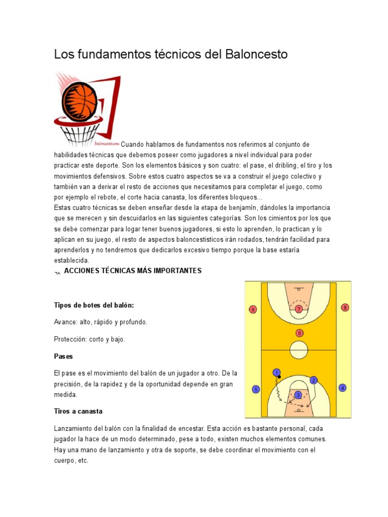Los Fundamentos Técnicos Del Baloncesto Posiciones de