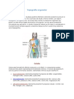 Topografia organelor