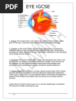 Eye Igcse