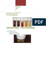 Hematuria Proteinuria