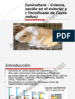 Cuyes Proyecto de Inversion PDF