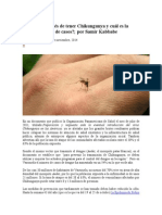 Qué Pasa Después de Tener Chikungunya y Cuál Es La Verdadera Cifra de Casos