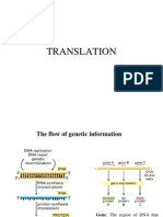 MolBiol 08 Translation