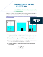 Determinacion Del Calor Especifico