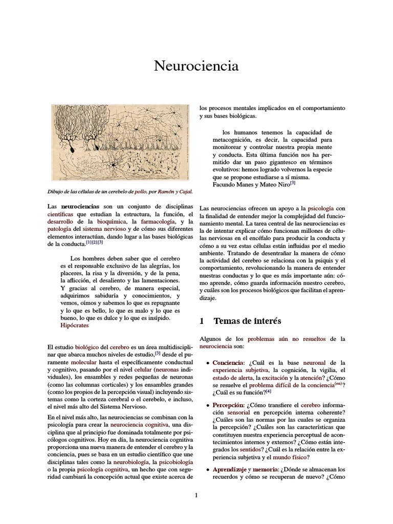 Introducción a las Neurociencias | PDF | Sinapsis | Neurona