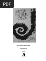 Narciso Em Tarde Cinza Mautner