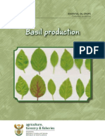 Pro Gui Basil