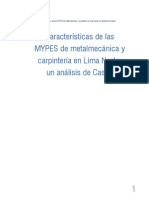 Caracteristicas de Las Mypes