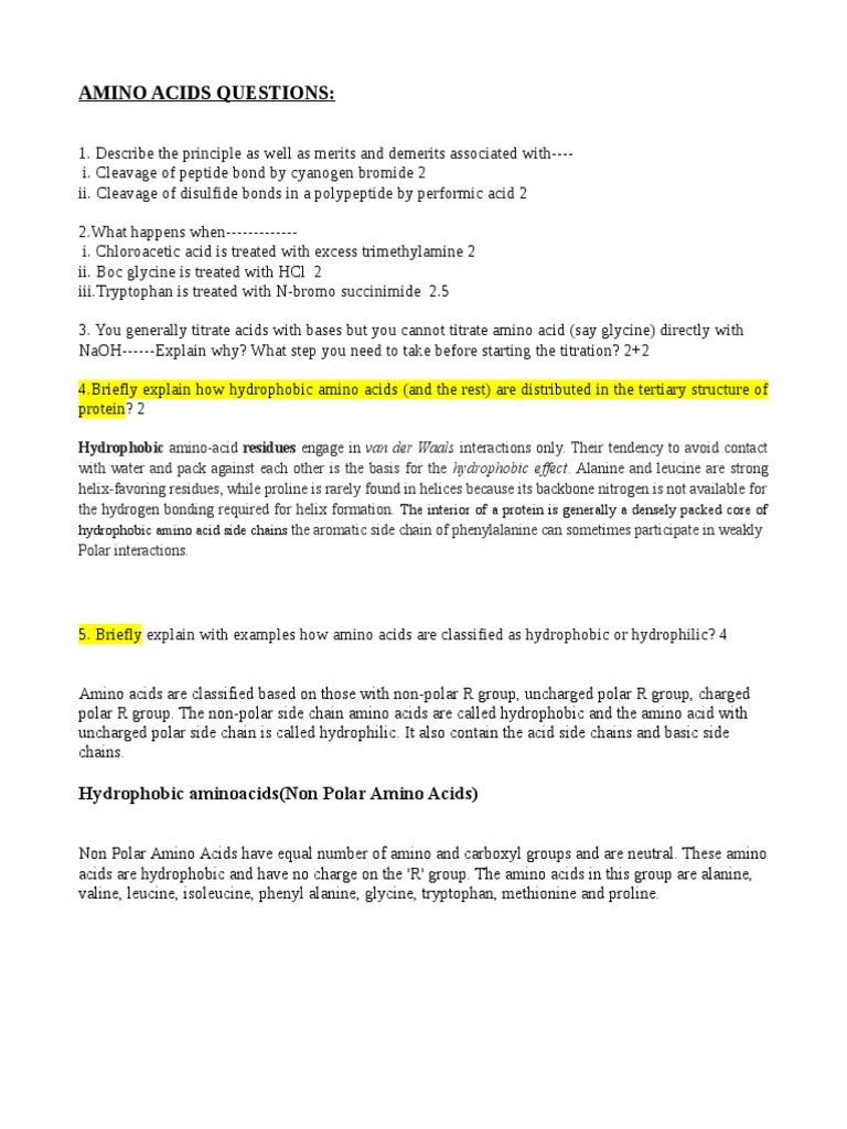 Amino Acids Questions PDF Amino Acid Alpha Helix