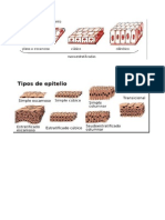 Derecho Romano