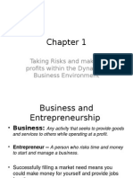 Taking Risks and Making Profits Within The Dynamics Business Environment