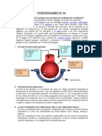 Cuestionario Nº 14 de Histologia