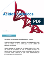 Acidosnucleicos 110404124902 Phpapp02