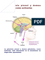 Activar Pineal y 6 Mas