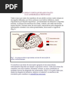 Áreas Corticais de Associação e as Assembleias neuronais 
