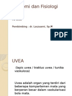 Uvea